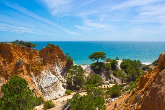 Oceanica Albufeira
